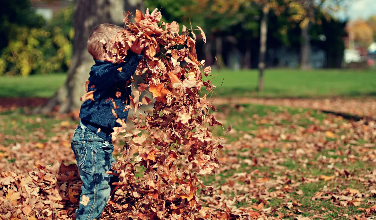 Billig ferie med børn