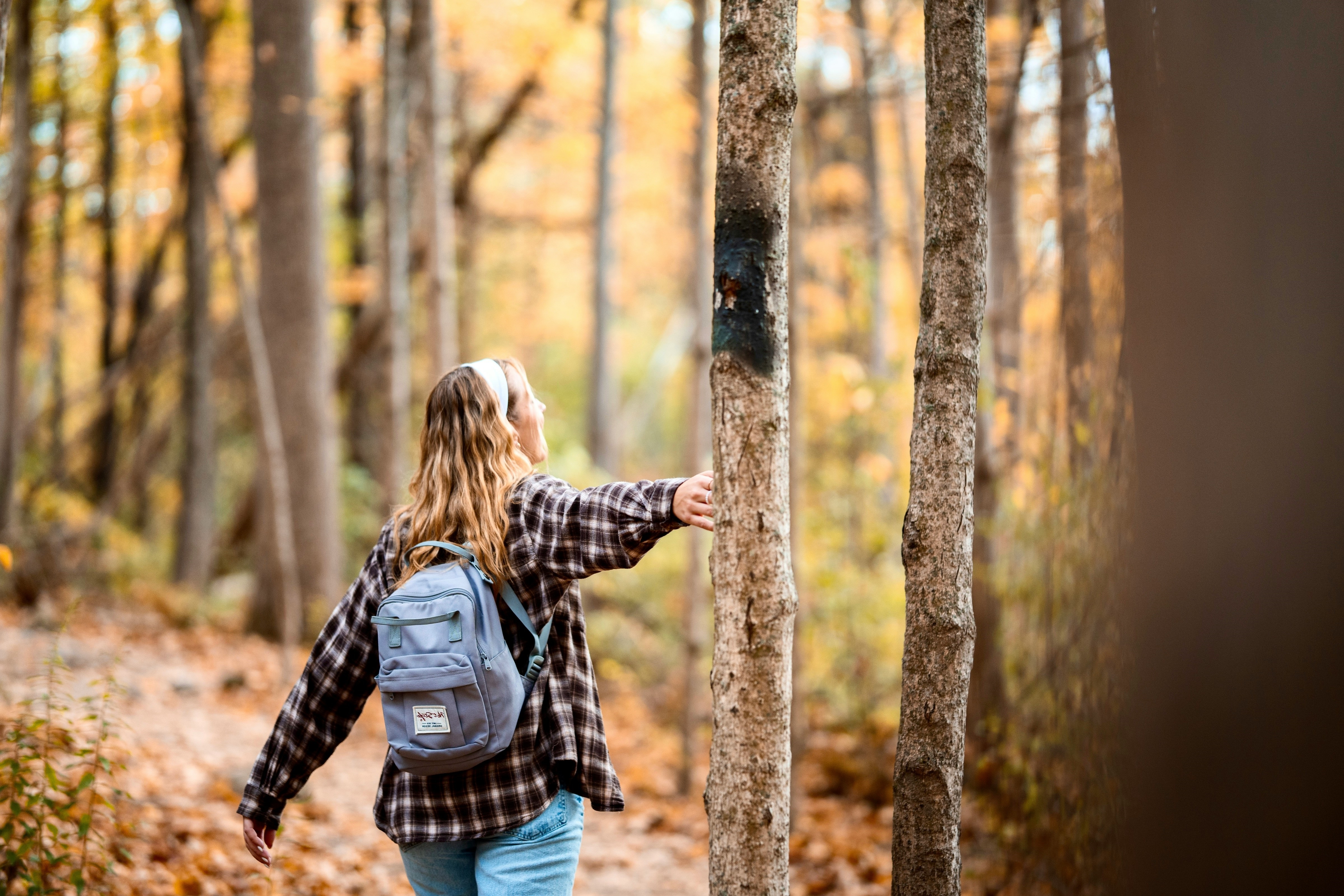 Efterårsaktiviteter i Danmark