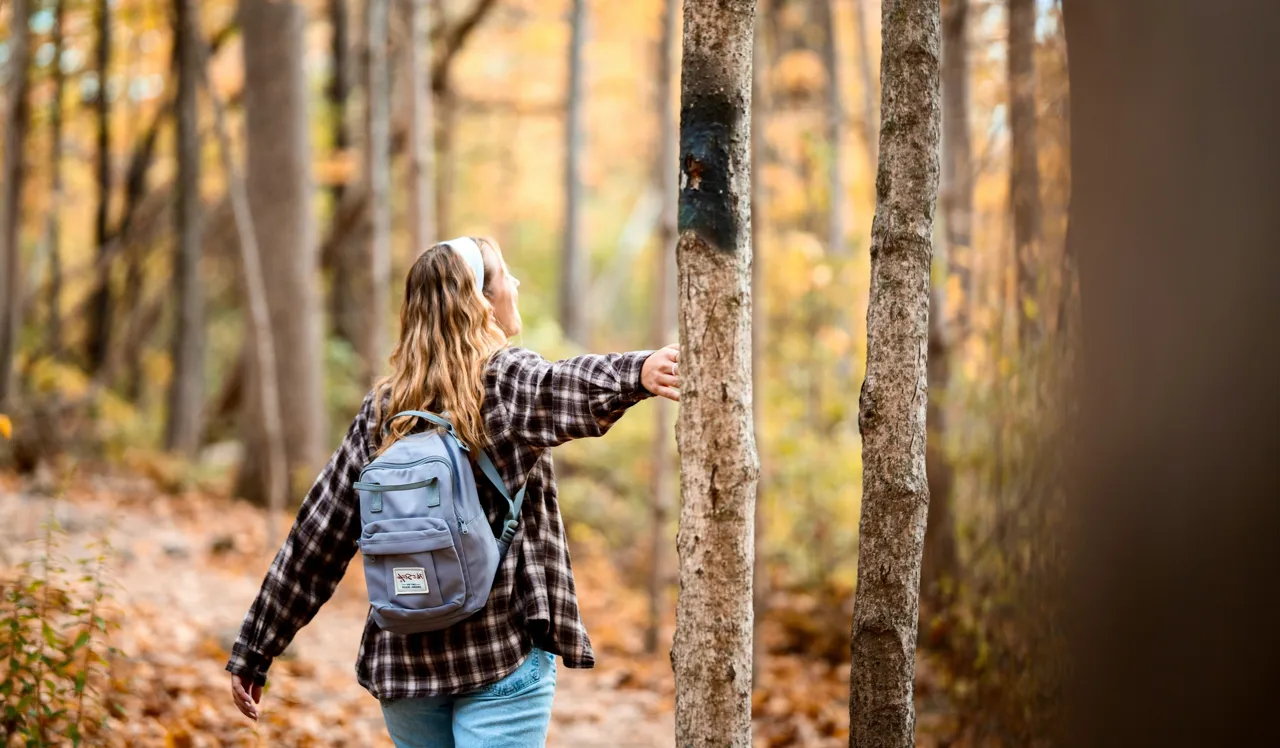 Efterårsaktiviteter i Danmark