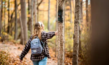 Efterårsaktiviteter i Danmark